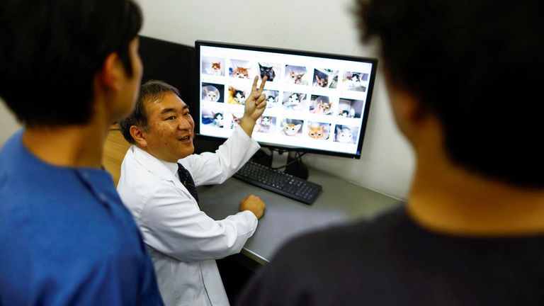 The head of Nihon University Animal Medical Center, Professor Kazuya Edamura, gives a lecture to students on the diagnosis of pain in cats. Pic: Reuters